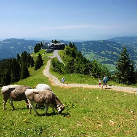 Greber Gertraud * Bezau